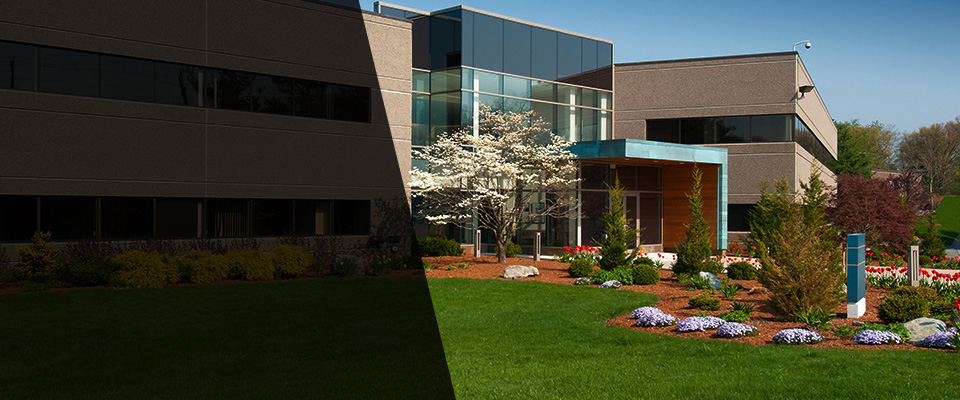 Villa Rica Landscapers