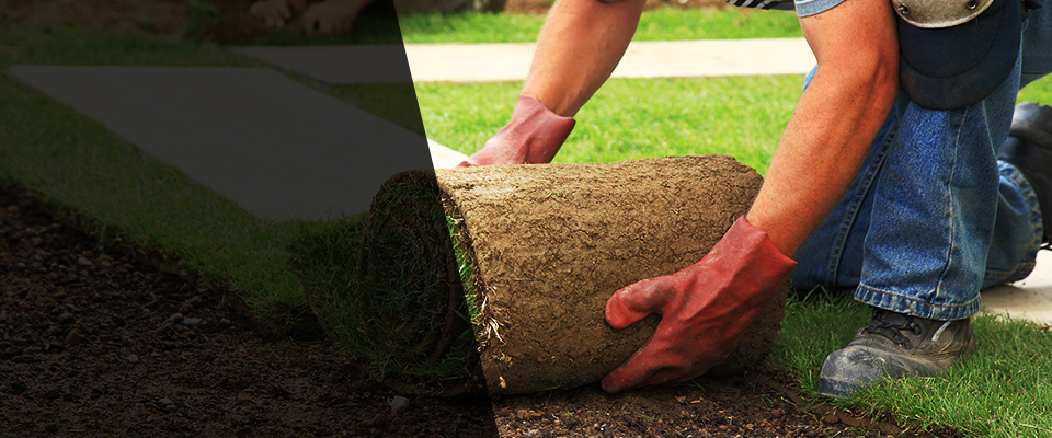 Villa Rica Landscapers